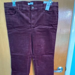NWT Loft Corduroy 32/14 Purple Straight Leg